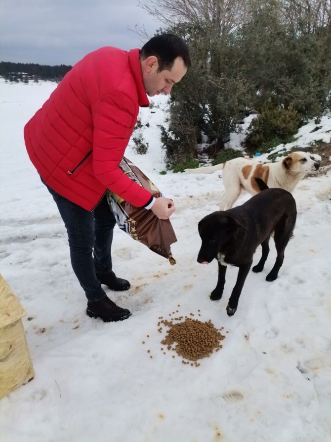 Depremden Etkilenen Hayvanlar İçin Kollar Sıvandı!